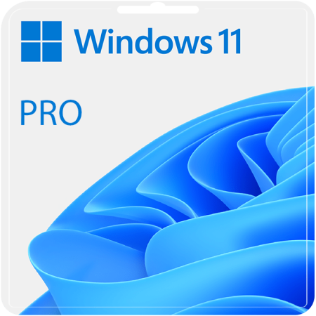Windows 11 Pro Lisans Anahtarı